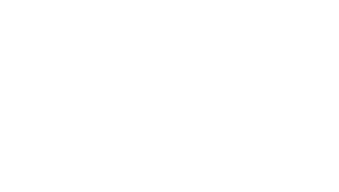 pro advisor white logo webp